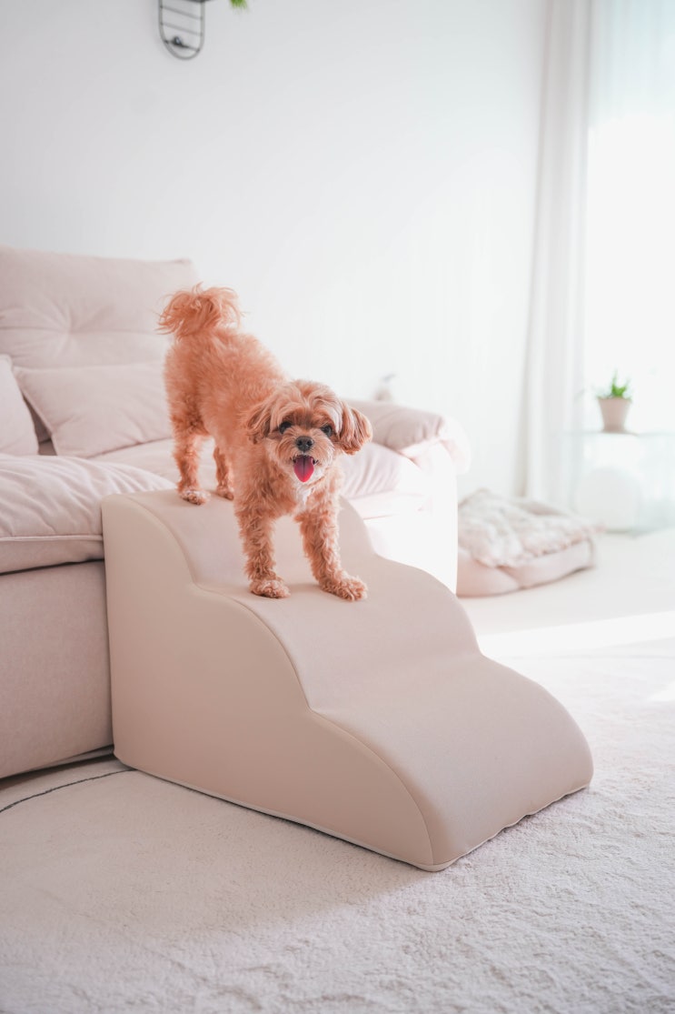  고양이 강아지 계단 추천, 세이프레더 3단 애견계단