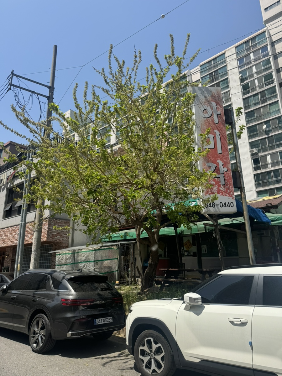 아미각 사진 1