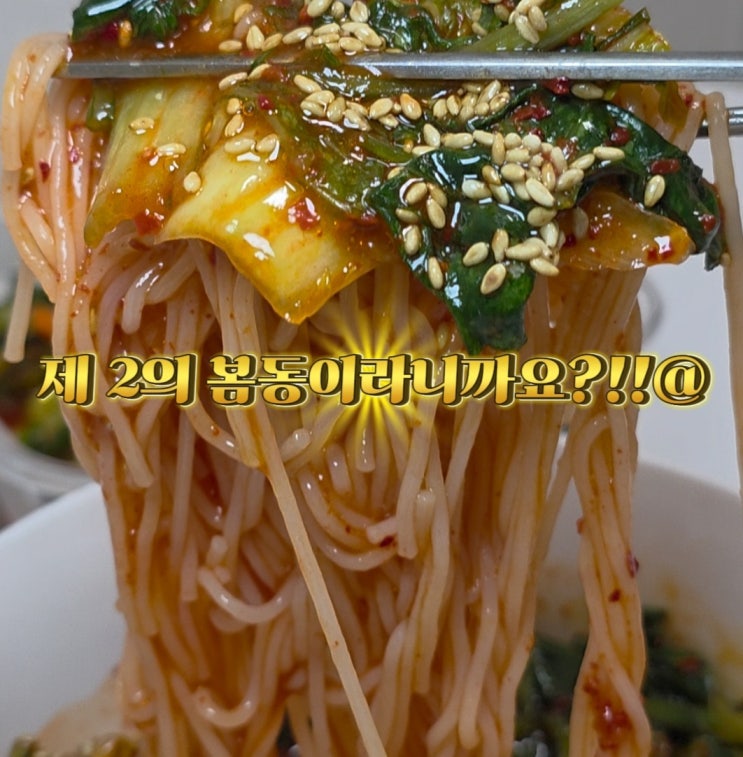  여름 별미 맛있는 얼갈이 열무김치로 만든 열무비빔밥과 열무국수 레시피