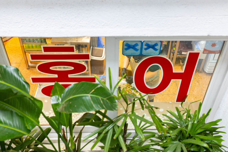 홍어한마리 사진 2