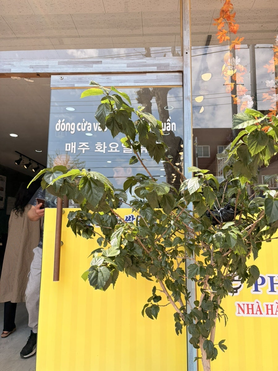퍼쌀국수 사진 2