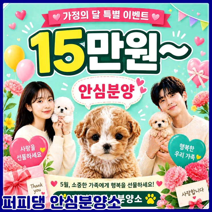 <b>공주</b> <b>노르웨이</b>숲고양이분양 궁금증 해결 기준 안내