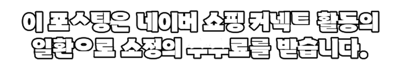 사진 6