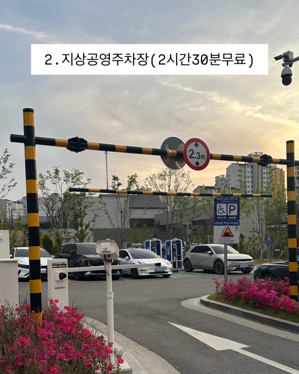 바오밥동물병원 사진 3