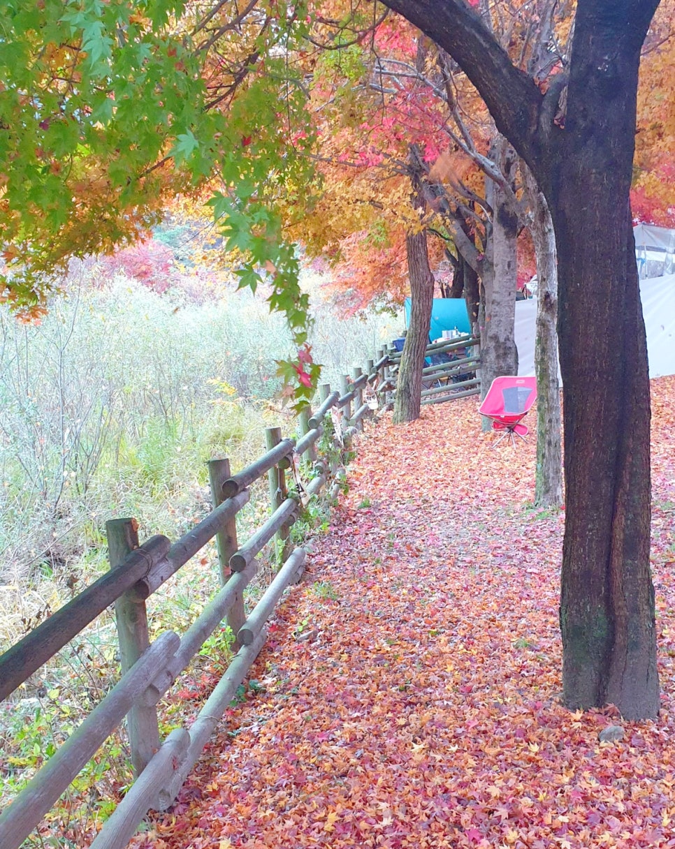 용두산오토캠핑장 사진 4
