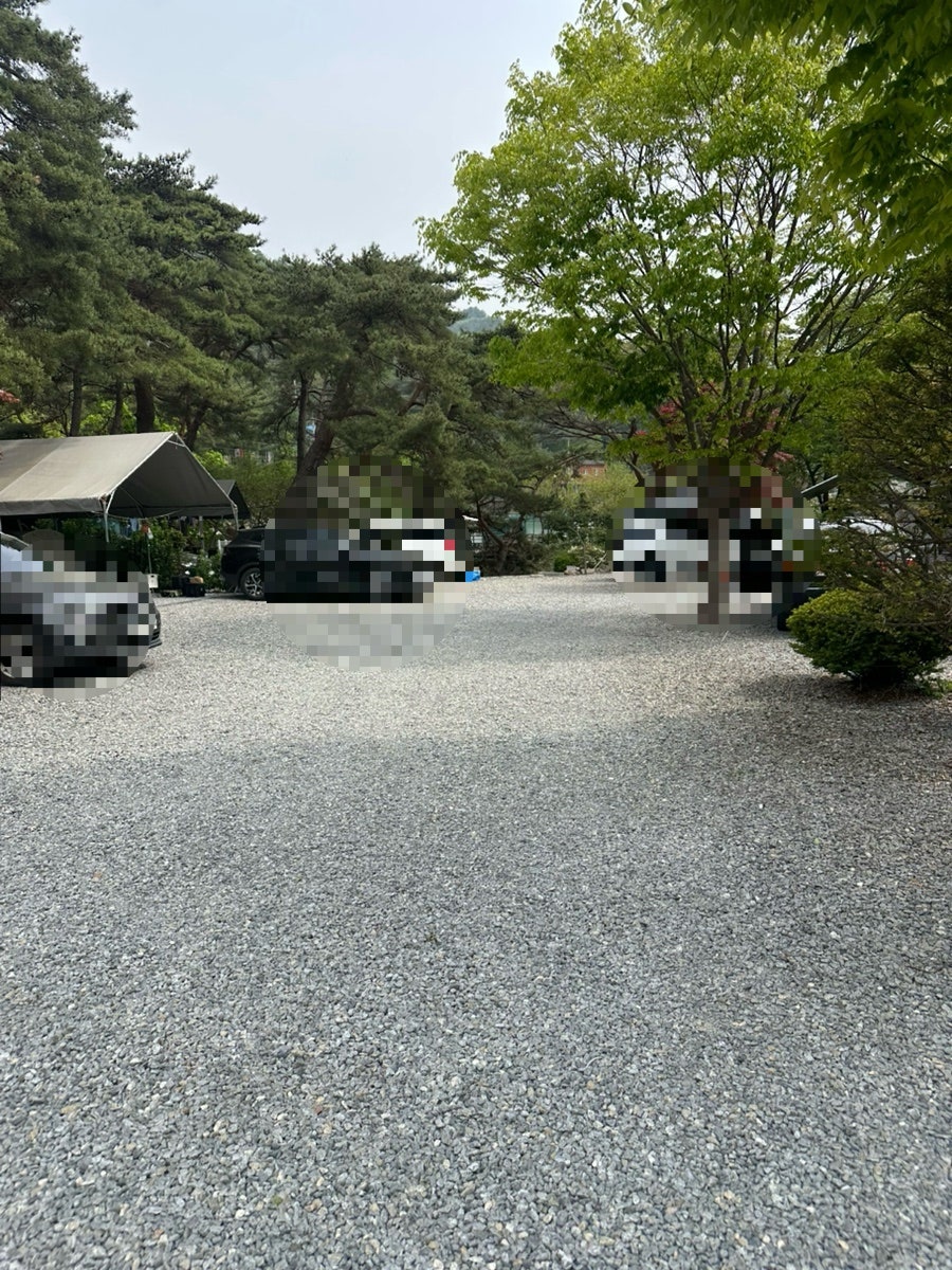 솔내음캠핑장 사진 6