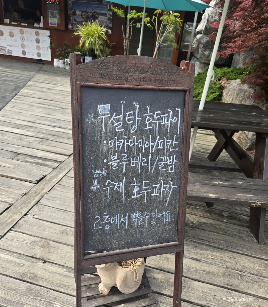 신일룡의호두파이 사진 4