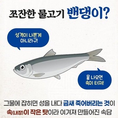  강화도 전등사 남문식당의 밴댕이 무침과 돌솥비빔밥 내돈내산 솔직후기