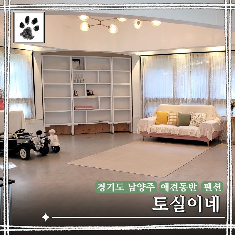 사진 5