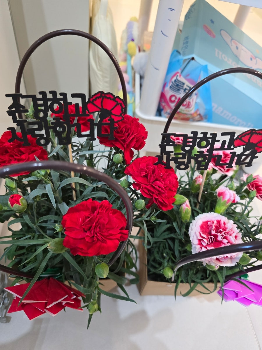 정골 사진 3