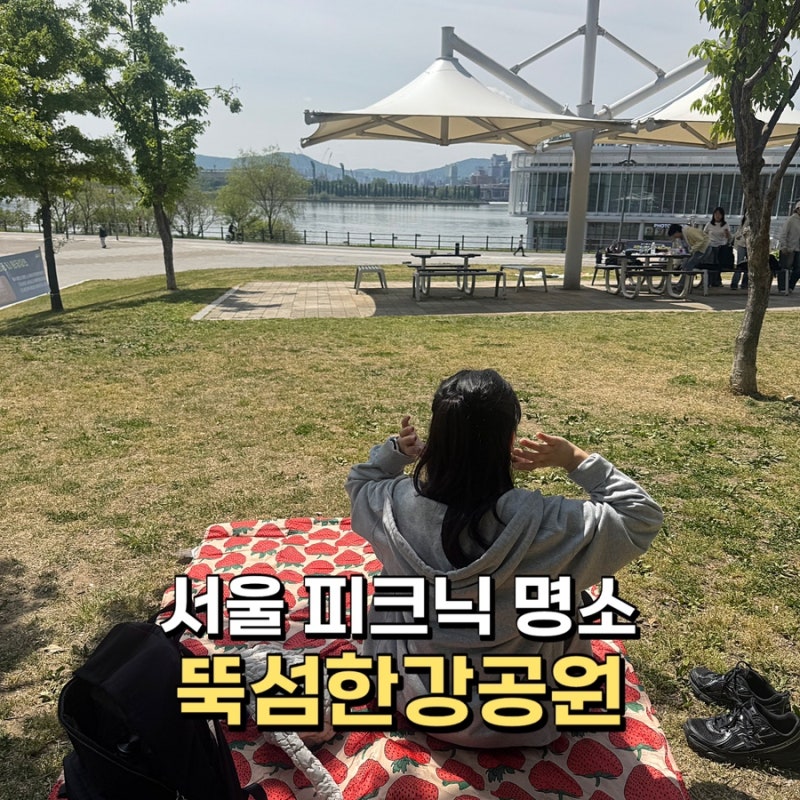 뚝섬한강공원 피크닉 후기｜배달존 이용 방법과 돗자리 나들이 코스