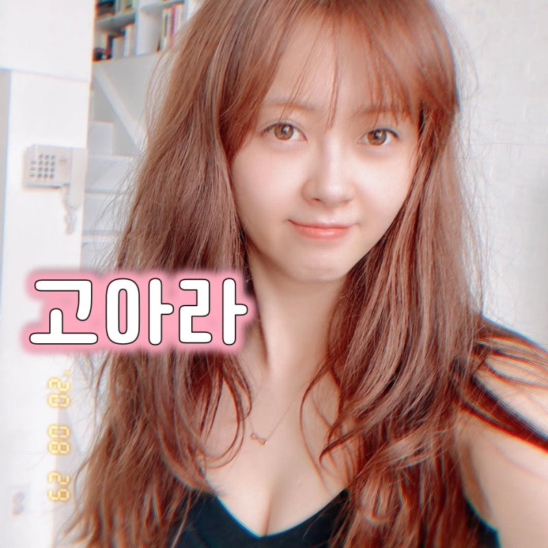 고아라 프로필, 반올림 옥림이에서 귀공자 윤주까지 22년 연기 인생