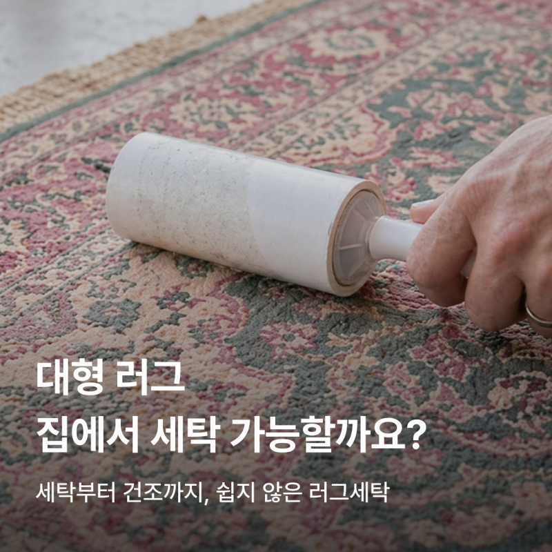 봄맞이 대청소! 대형러그 세탁 가능한 사이즈는?