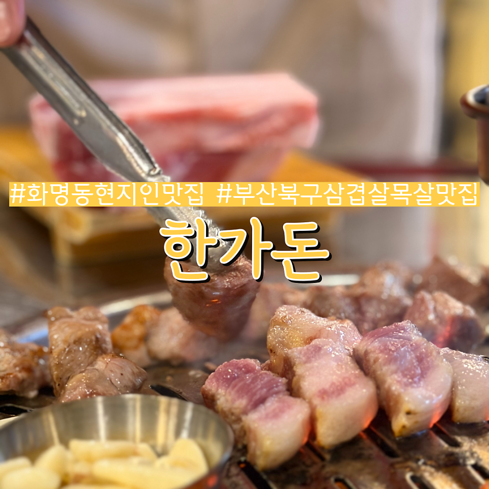한가돈 사진 1
