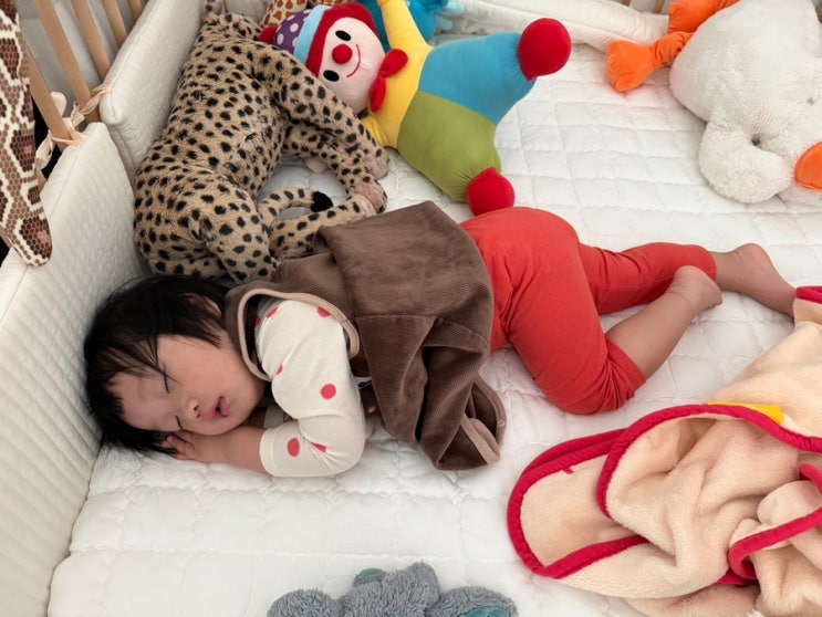 주간일기 260504-260510
