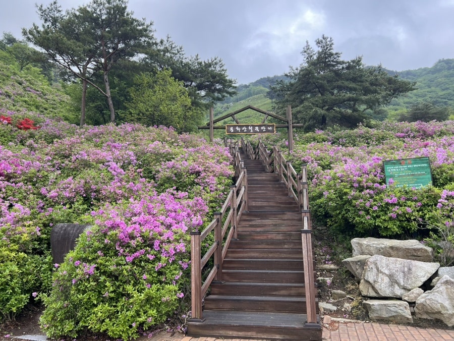 봉화정 사진 3
