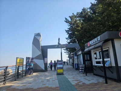 사진 8