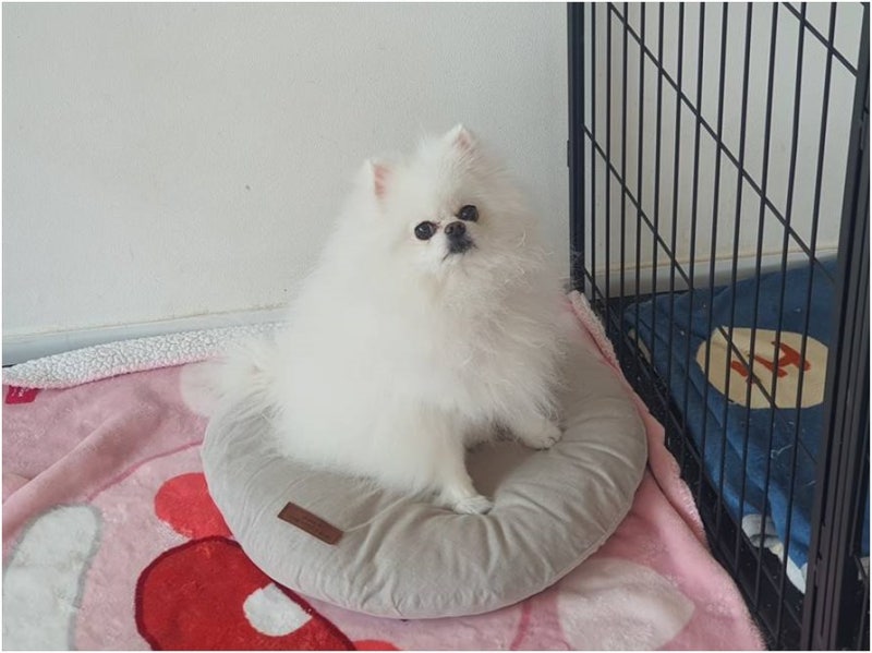 사진 5