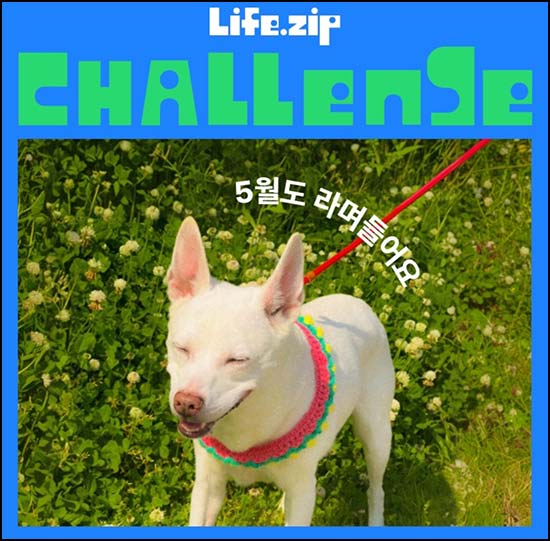  라이프집 출석 이벤트(메가커피)전원~05.31