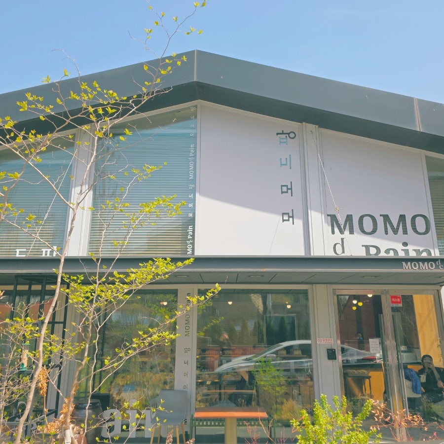 모모드팡 사진 1
