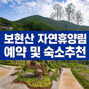 보현산 자연휴양림 예약방법 숙소 요금 숙소추천 총정리(입장료까지)