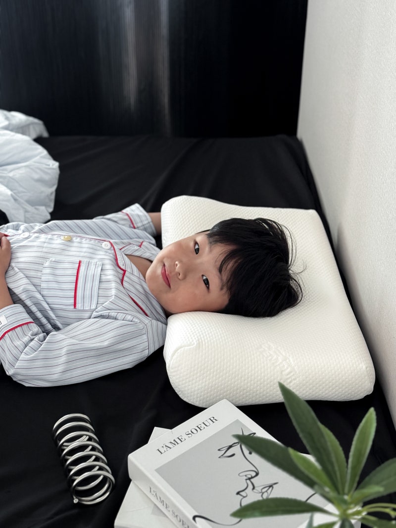 템퍼 베개 추천, 밀레니엄 에르고 플러스 정착한 이유