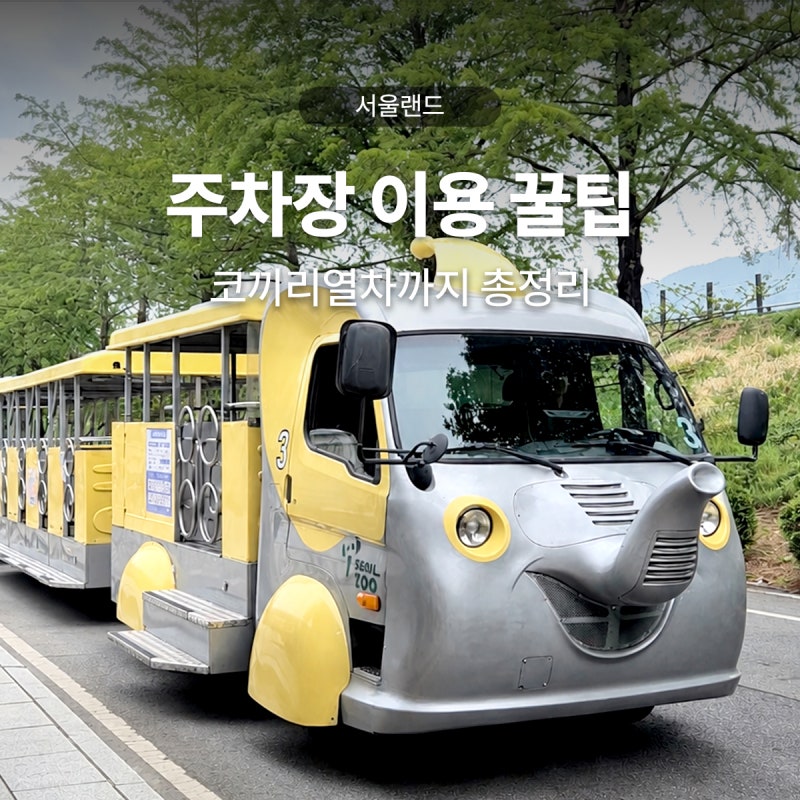 서울랜드 주차장팁 위치 서울대공원 주차장 코키리열차타고 서울랜드 가기