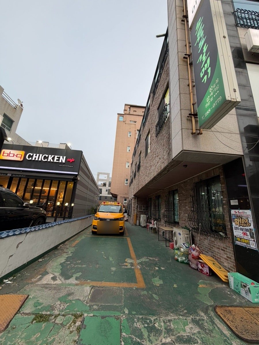 오륙도갈매기 사진 6