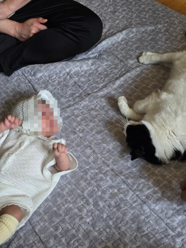  임산부 수면시간 일상 식단 기록 입덧약 끊기 실패