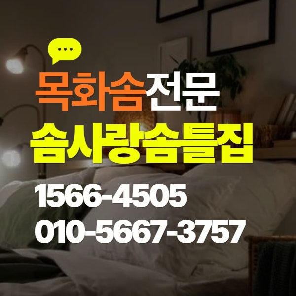 사진 4