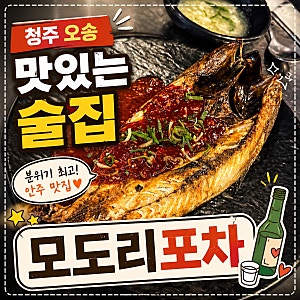 [청주] 내돈내산 청주 오송 술집 맛집 ‘모도리 동네포차 오송점‘