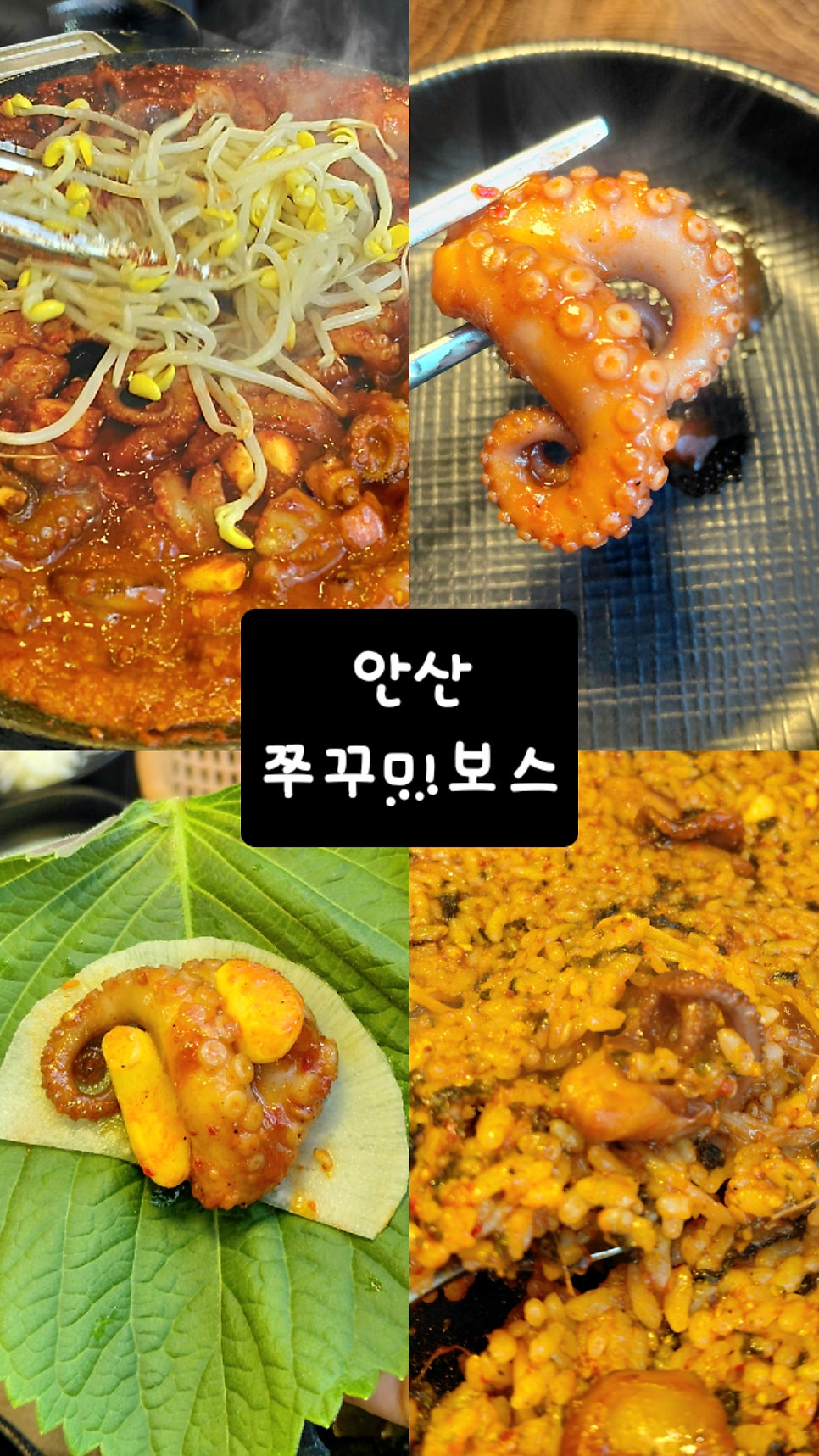 쭈꾸미보스 사진 1