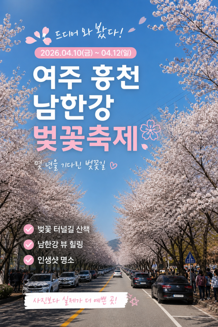  여주 흥천 남한강 벚꽃축제, 몇 년을 기다린 봄