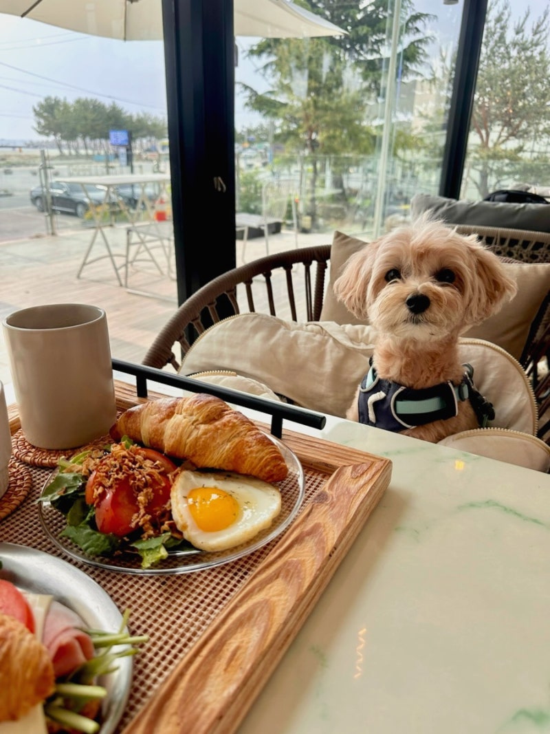 사진 8