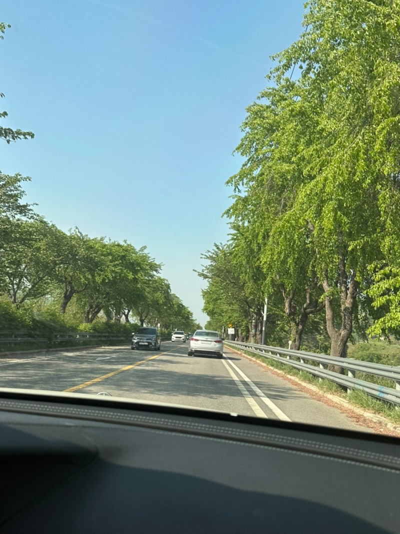 사진 3