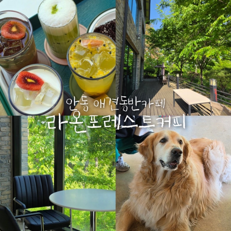 사진 3