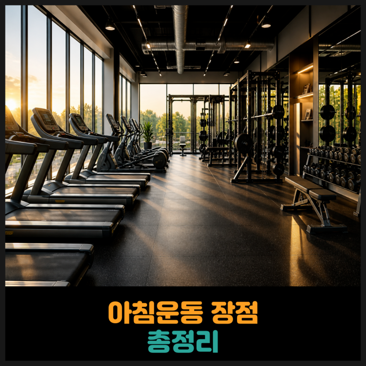  아침운동 장점 총정리
