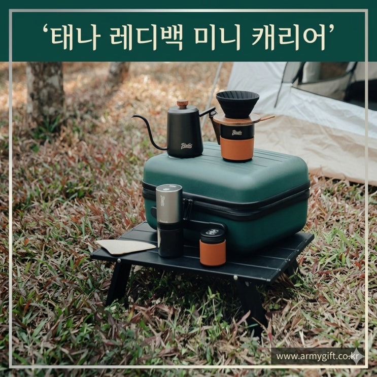  14인치기내용캐리어, 스타벅스 레디백 열풍을 일으킨 요즘 대세 태나 레디백 여행용 미니 캐리어 [아미기프트]