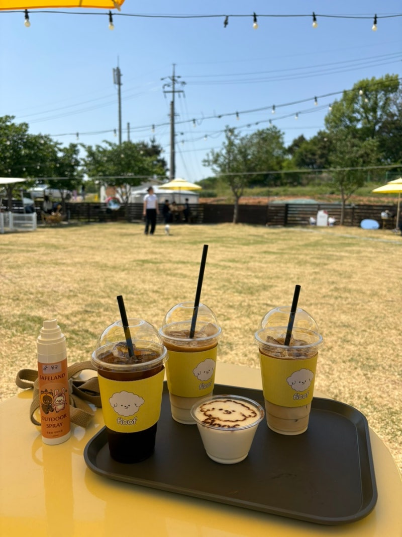 사진 5