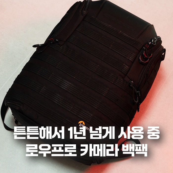 가성비 로우프로 카메라 가방 백팩 bp 450 aw 2 1년 사용 후기