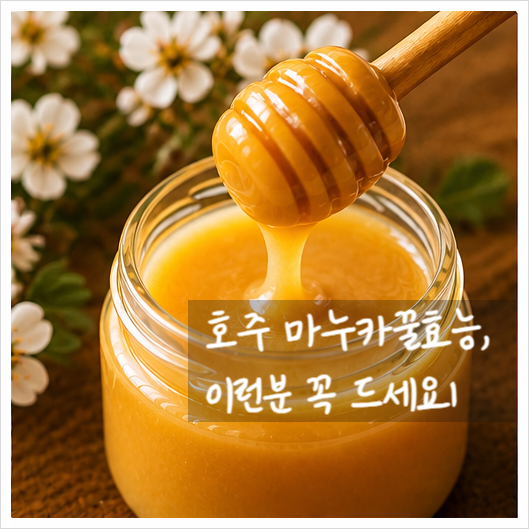 호주 마누카꿀효능, 이런분 꼭 드세요!