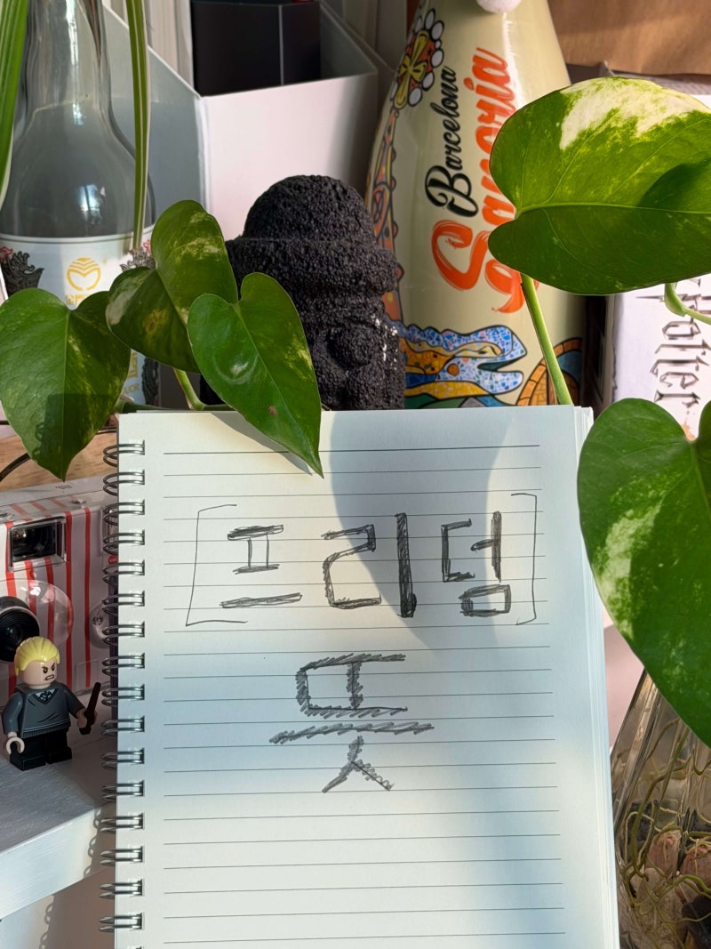 프리덤 뜻 예문과 함께 'Liberty 차이' 비교 정리