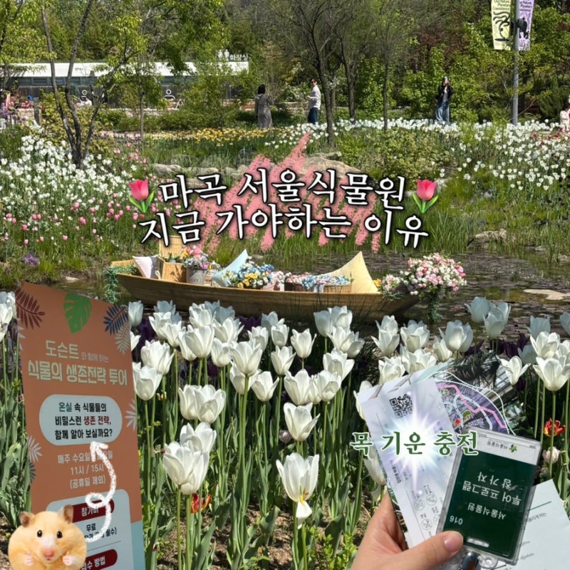 더워지기 전에 가볼만한곳 마곡 서울식물원 튤립 온실 무료투어