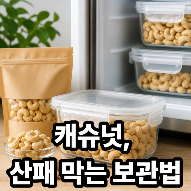  캐슈넛 보관법 총정리  산패 막는 핵심 포인트 완벽 가이드