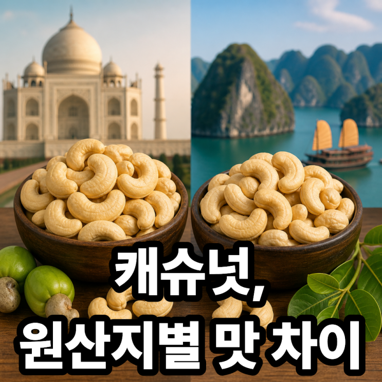  캐슈넛 원산지별 맛 차이  인도 vs 베트남 비교 총정리