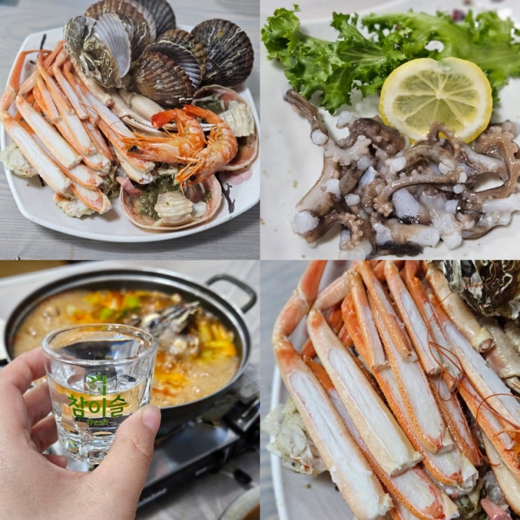  포항 죽도시장 횟집 먹거리 영광회대게센타 대게스페셜