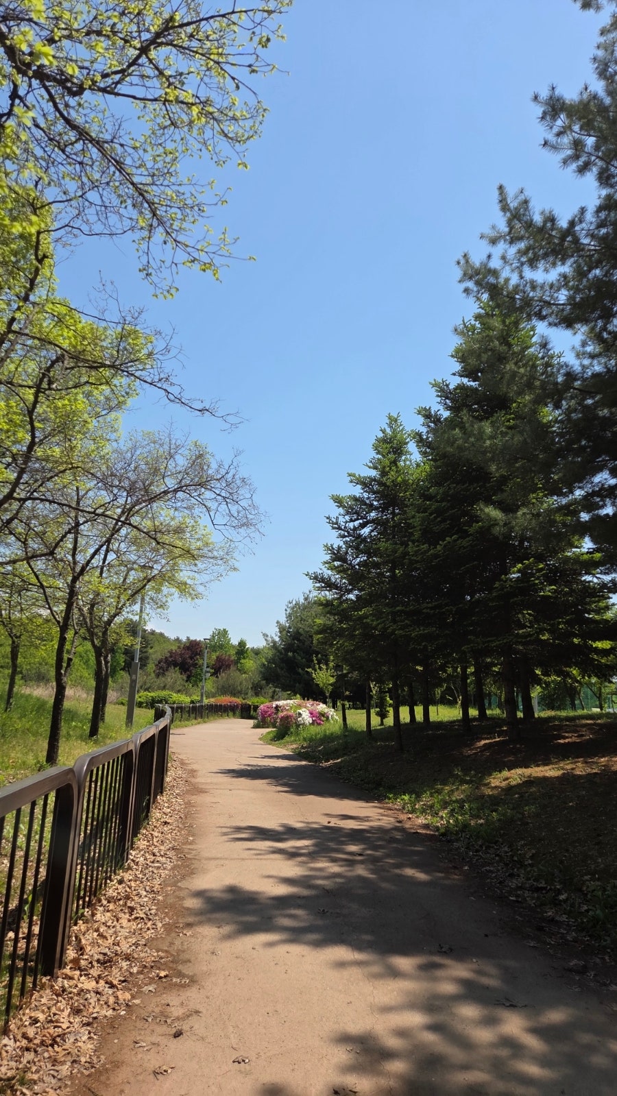 담가화로구이 아산테크노밸리점 사진 3