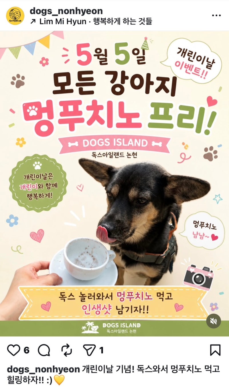사진 4