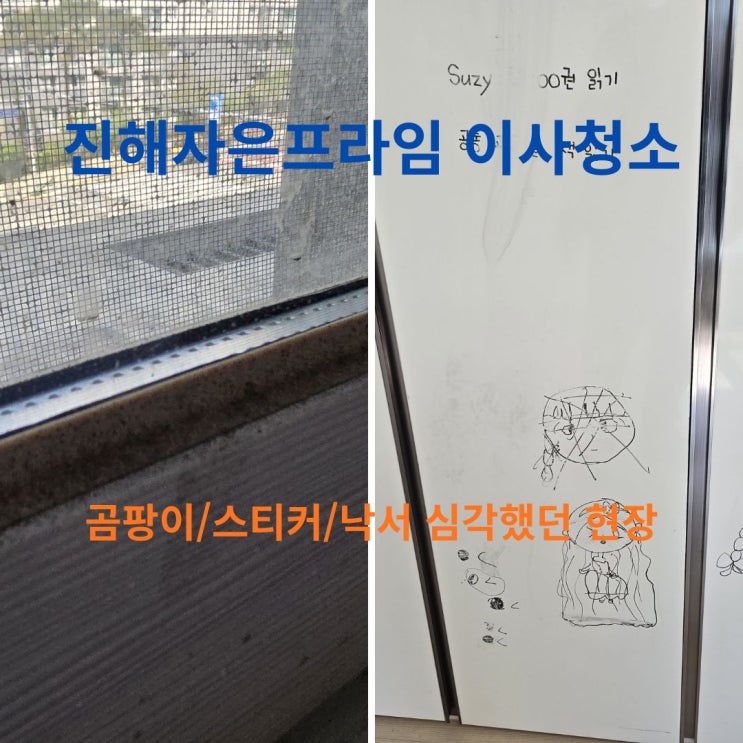  진해자은프라임 이사청소, 곰팡이와 스티커·낙서까지 심각했던 현장