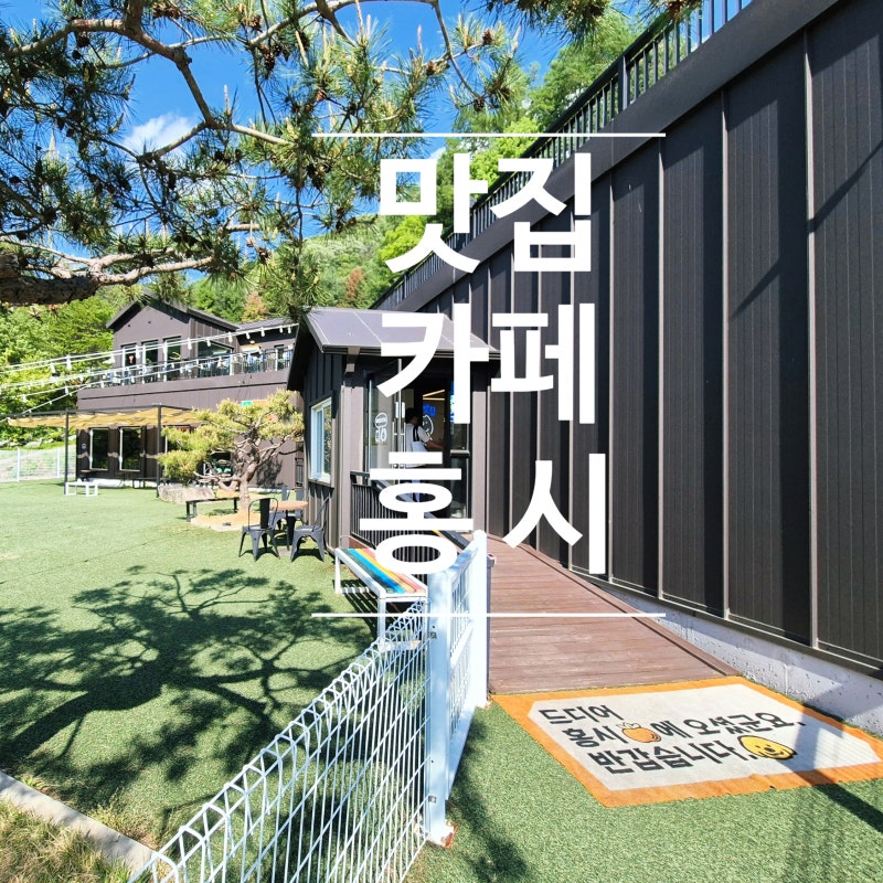 사진 2